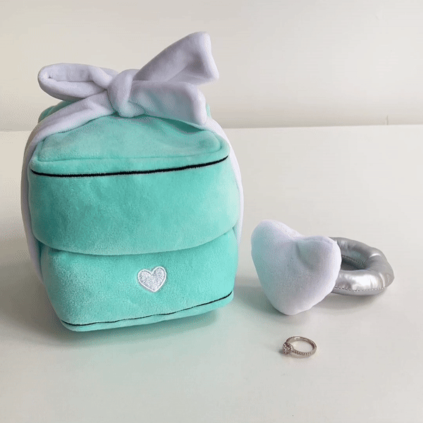 CuddleRing: Plush Proposal Box