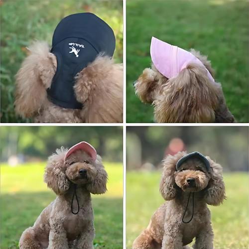 Fashionista Furbaby Sun Hat 